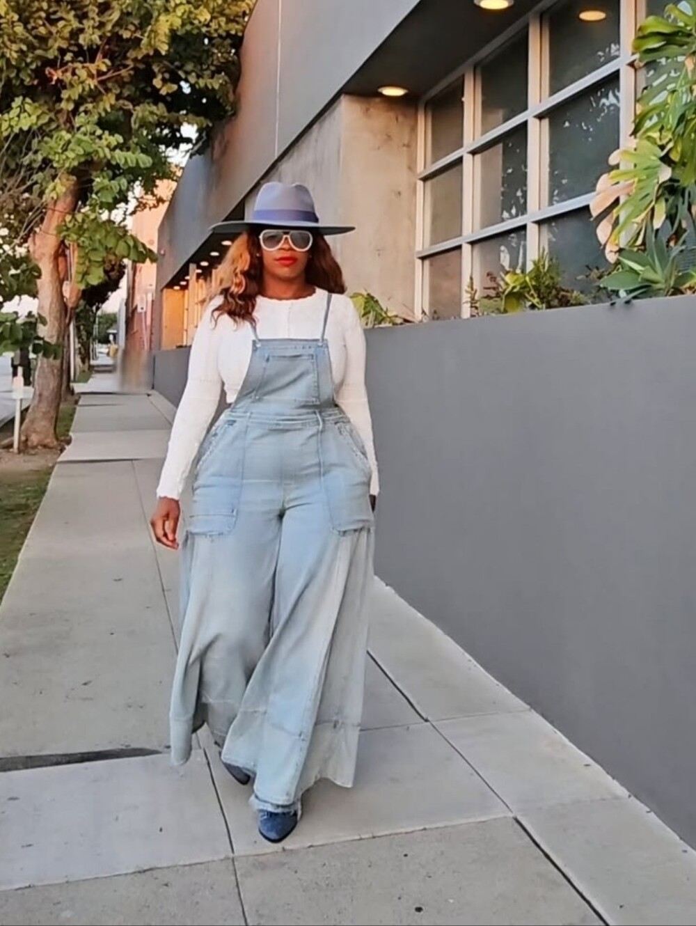Anthropologie Pilcro Painters Denim Overalls